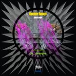 Artwork for "South Paw II"