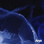 Artwork voor "Adrian Skiba - Shades"