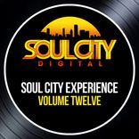 Artwork for "Soul City Experience - Volume Twelve"