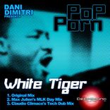 Portada para "White Tiger"