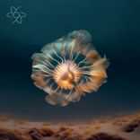 Artwork for "No Love Lost"