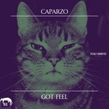 Artwork for "Got Feel"