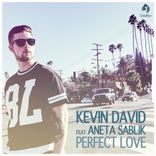 Artwork for "Perfect Love"