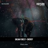 Artwork for "Dream Forest"