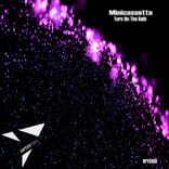 Artwork für "Turn on the Bulb"