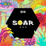 Artwork for "C20h25n3o"