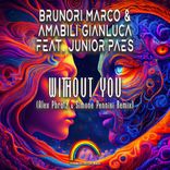 Artwork für "Without You (Alex Phratz & Simone Pennisi Remix)"