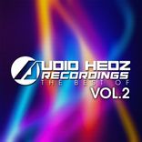 Artwork voor "Audio Hedz Recordings The Best Of, Vol. 2"