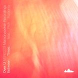 Artwork voor "Over U"