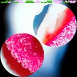 Artwork voor "Victoria's Secrets"