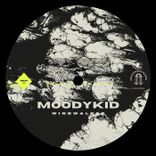 Artwork for "Windwalker"