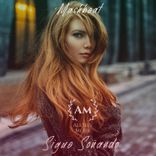 Artwork voor "Sigue Soñando"