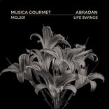 Artwork for "Life Swings"