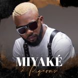 Portada para "2 Pigeons"