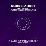 Artwork für "Valley of Feelings"