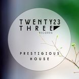 Artwork for "Prestigious House"