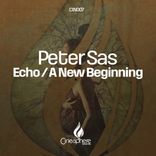 Artwork voor "Echo / A New Beginning"