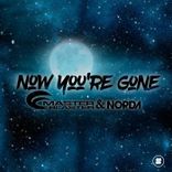 Artwork für "Now You're Gone"