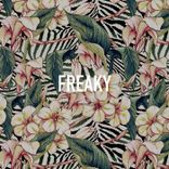 Artwork for "Freaky"
