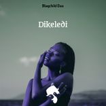 Portada para "Dikeledi"