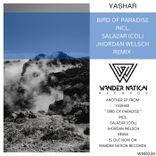 Artwork for "Bird of Paradise"