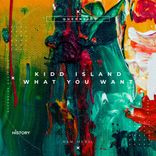 Artwork for "What You Want"