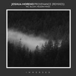 Artwork for "Provenance (Remixes)"