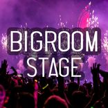 Artwork for "Bigroom Stage"