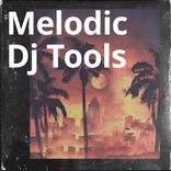 Artwork voor "Melodic Dj Tools"