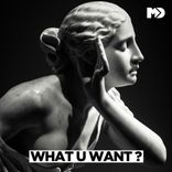 Artwork for "What U Want"