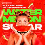 Artwork for "Watermelon Sugar (Extended Mix)"