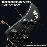 Artwork for "Funky Boy"