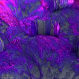 Artwork voor "Own the Night"