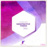 Artwork for "Indistinctive Things"