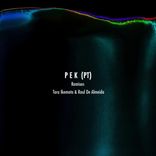 Artwork for "Remixes"