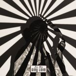 Artwork for "Grey Love"