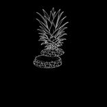 Artwork for "Shadow"