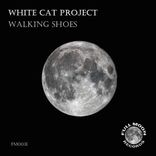 Artwork for "Walking Shoes"