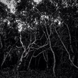 Artwork für "Photomorph"