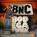 Artwork for "Bodega Funk"
