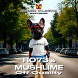 Artwork für "Off Quality"