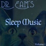 Artwork for "Sleep Music"