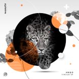 Artwork for "Circles"