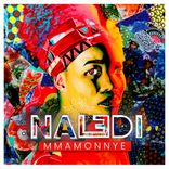 Artwork voor "Naledi"