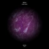 Portada para "Down Lights"