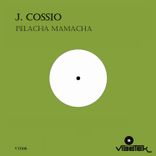 Artwork voor "Pelacha Mamacha"