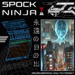 Artwork voor "Remembering How To Forget"