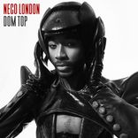 Artwork voor "Dom Top"