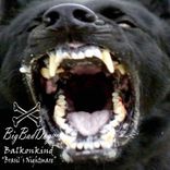 Artwork for "Brazil's Nightmare"