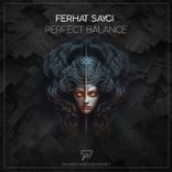 Artwork for "Perfect Balance"